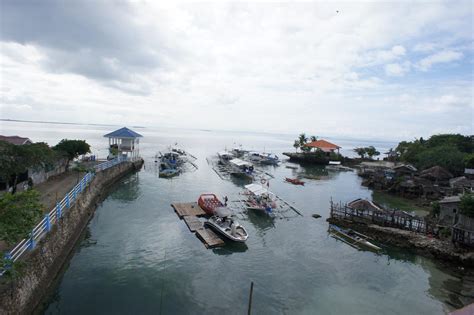 CNC Dive Resort Cebu .